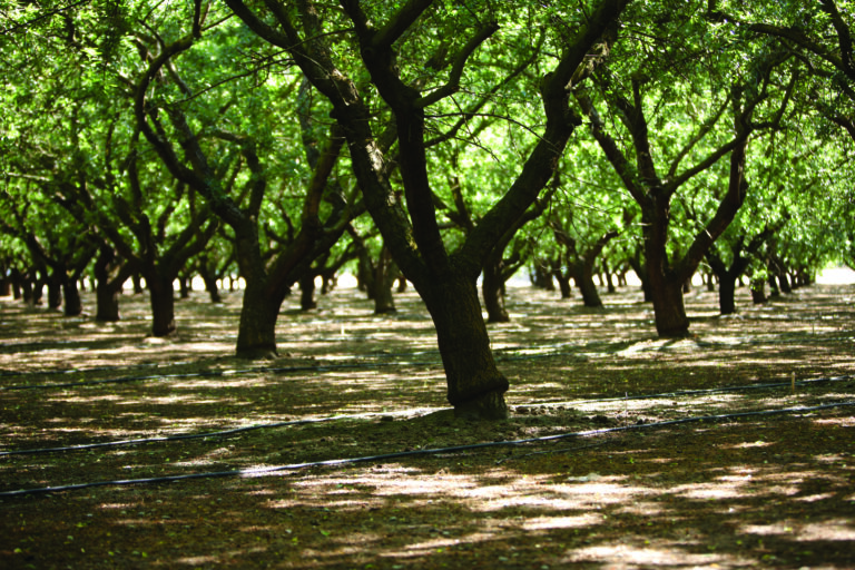 ILRP Expert Panel Evaluating Considering Programmatic Changes