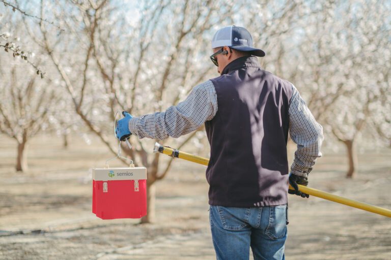 Digital Eyes in the Orchard: The Future of NOW Monitoring