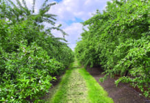 Playing the Whole Field