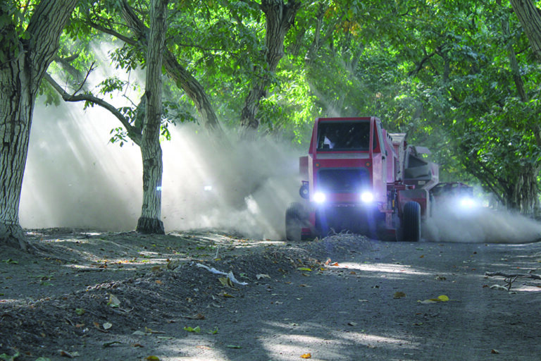 Market Diversification Key to California Walnut Industry Stability