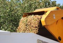 Orchard Location Impacts Pistachio Production