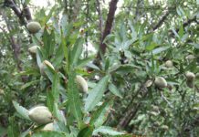 A Northern Perspective