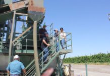 Produce Safety Rule Inspections Begin for Walnut Growers