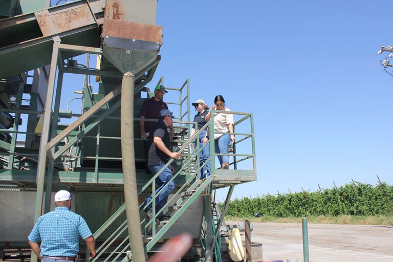 Produce Safety Rule Inspections Begin for Walnut Growers