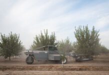 From the Orchard: Vertical Integration Positions P-R Farms for the Future